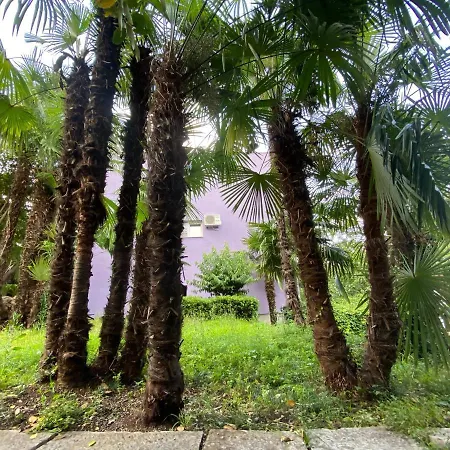 Near With Sea View