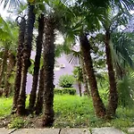 Near With Sea View