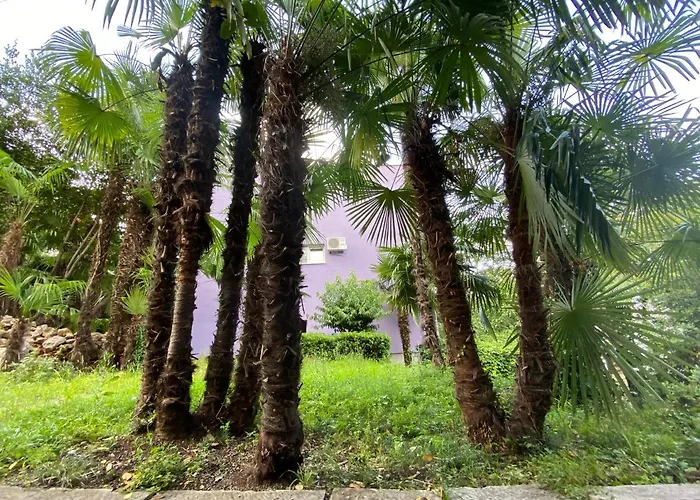 Near With Sea View