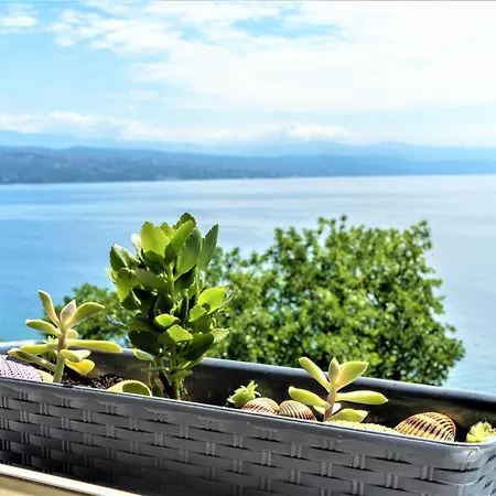 Lejlighed Near With Sea View - Free Parking
